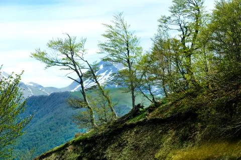 Pyrenees Stock Photos