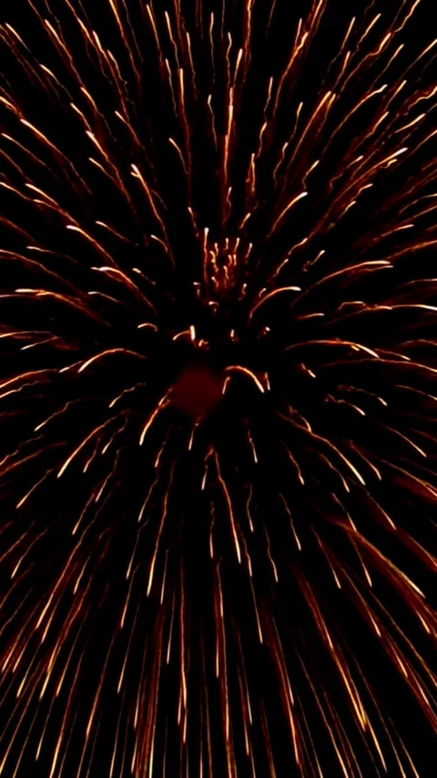 Pyrotechnic fireworks explosions in the night sky Stock Footage 266663905