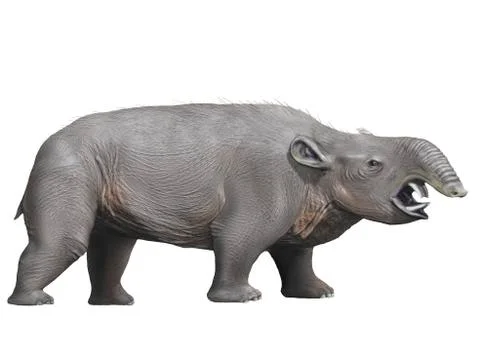 Pyrotherium is an extinct ungulate from the Oligocene epoch. Stock Illustration