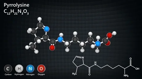 Pyrrolysine. Seamless loop. Stock Footage 152764815
