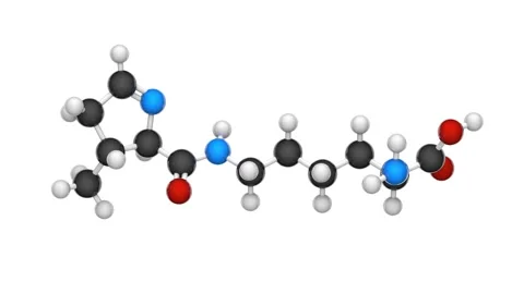 Pyrrolysine. Seamless loop. White background. Video stock 152764821
