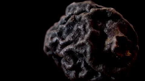 Pyrus communis: Dehydrated Fruit Texture, Shriveled Pear Macro Stock Footage 332857121