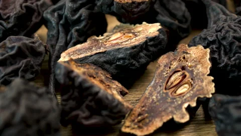 Pyrus communis: Internal anatomy of dehydrated fruit. Cross Section Stock Footage 332857835