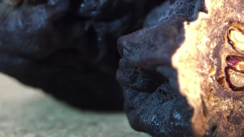 Pyrus communis: Rotating Macro of Dried Fruit Cross Section Stock Footage 332857532