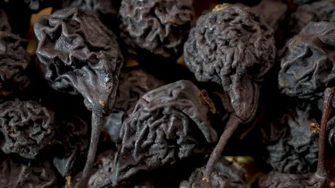 Pyrus communis: Tracking Shot of Whole Dried Fruits Stock Footage 332857737