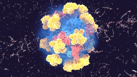 The pyruvate dehydrogenase enzyme complex Stock Footage 140812970