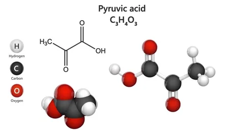 Pyruvic acid (C3H4O3). Seamless loop. Video stock 152513718