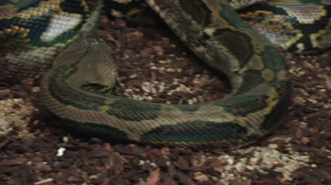 Python 01 스톡 동영상 25858932