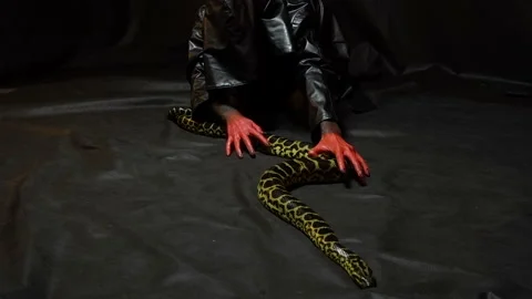 Python and woman in black hood Stock Footage 94686987