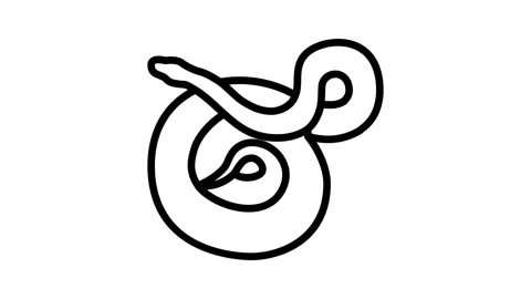 Python animal snake line icon animation Stock Footage 326132777