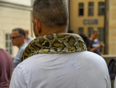 Python around man's neck Stock Photos