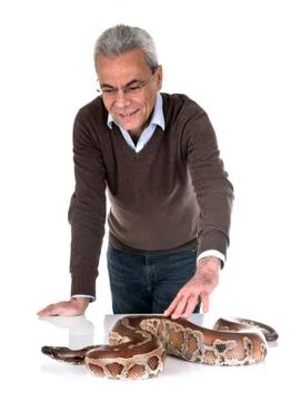 Python brongersmai and man Photos