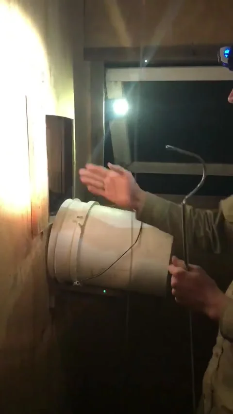 Python in a Chicken Coop, Eumundi, Queensland, Australia - 03 Nov 2017 動画素材 205266897