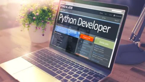 Python Developer Hiring Now. 3D. Stock Illustration