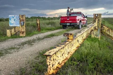 Python hunting in South Florida, Miami, USA - 10 Aug 2020 스톡 사진