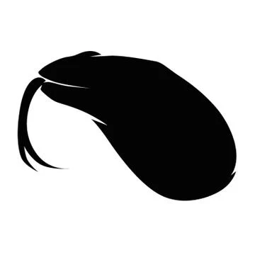 Python Illustrazione stock