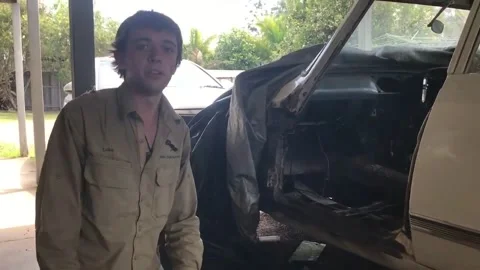 Python Kills Cat, Cooroy, Queensland, Australia - 30 Oct 2017 库存影片 205267180