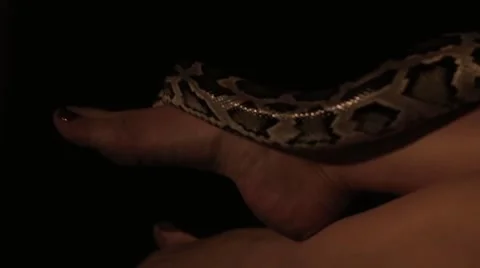 Python pattern on the legs Stock Footage 68935559