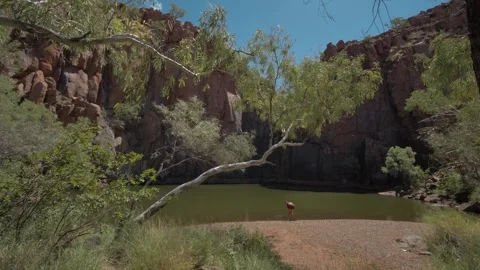 Python Pool Natural Swimming Hole Stock Footage 315972701