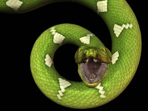 Python Python Copyright: xZoonar.com/KnutxNiehusx 3094027  스톡 사진