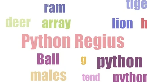 Python Regius Word Cloud Animated Isolated On White Stock Footage 103562800