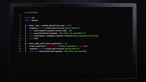Python script on screen Stock Footage 166348101