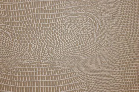 Python skin, beige texture. Photos