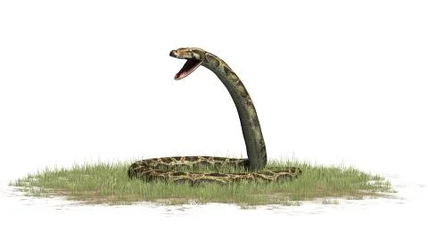 Python snake isolated on white background Stock-Illustration