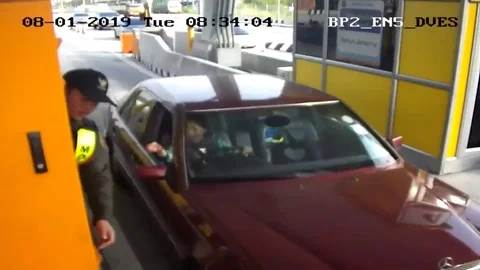 Python sparks panic after appearing at toll road checkpoint Vidéo 105156186