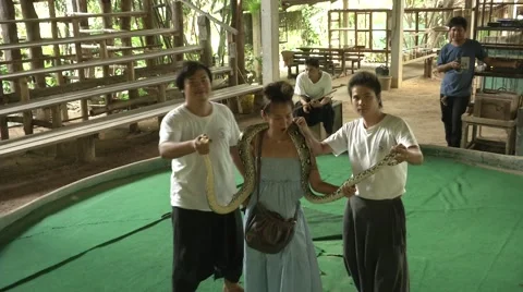 Python with spectator at Snake Show in Thailand Stock Footage 59840447