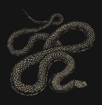 Python in Vintage style on a black background. Serpent or poisonous viper snake 스톡 일러스트