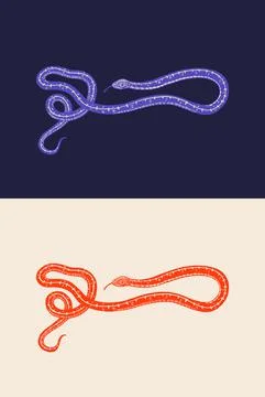 Python in Vintage style. Serpent or poisonous viper snake. Engraved hand drawn Stock Illustration