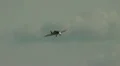 PZL 106 AR Kruk airshow flight demonstration HD Footage
