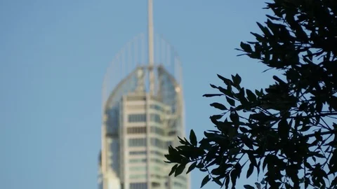 Q1 focus pull to Skypoint Climb 스톡 동영상 87309084