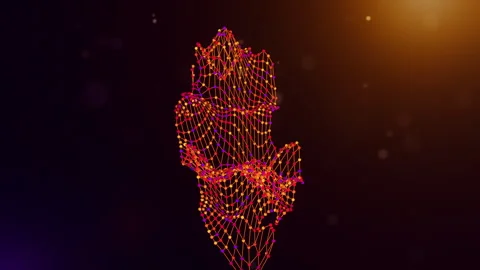 Qatar Connected Intelligence Network Map Reveal Motion Graphics Stock Footage 337385053