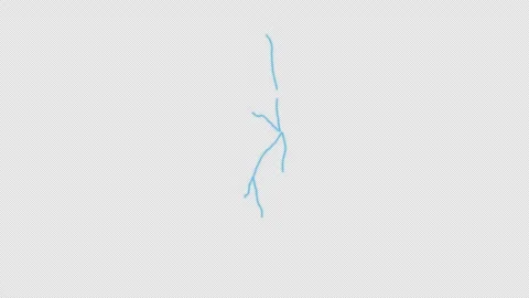Qatar Country Line Map Self Drawing Animated Overlay, Alpha 4K 스톡 동영상 340289991