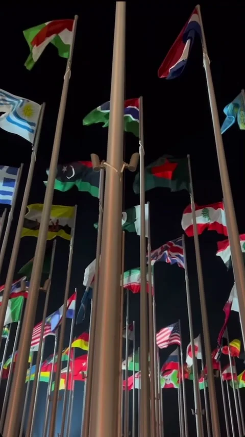 Qatar World Cup 2022 Stock Footage 219568080