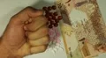 Qatari Riyal QAR, Counting Drugs and Money, Health Care, Colorful Pills HD Footage