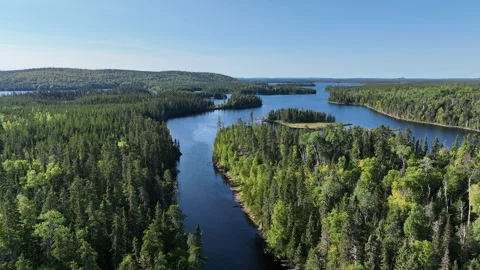 QC River in the Boreal Forest 4k Stock Footage 328557363
