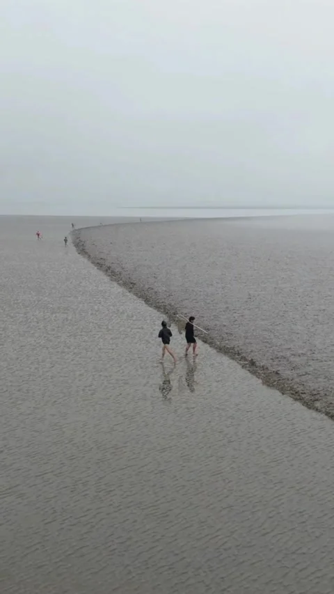 Qiantang River Tide-Chasing Folk Custom With People on Mudflats, Zhejiang, China Vidéo 337348049