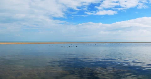 Qinghai lake Stock Footage 295828564