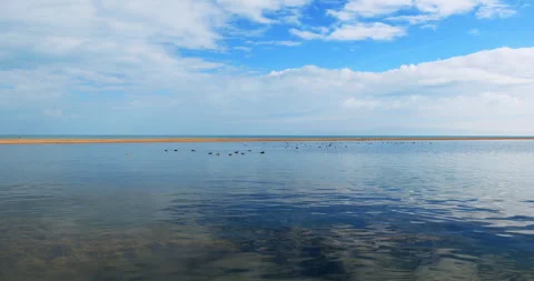 Qinghai lake Stock-Footage 295828651