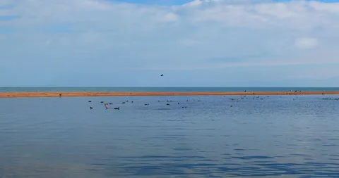 Qinghai lake Stock Footage 295829247