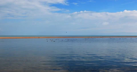 Qinghai lake 스톡 동영상 295829293