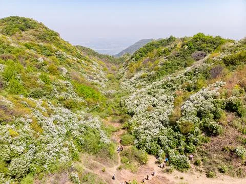 Qinling Mountains Stock Photos