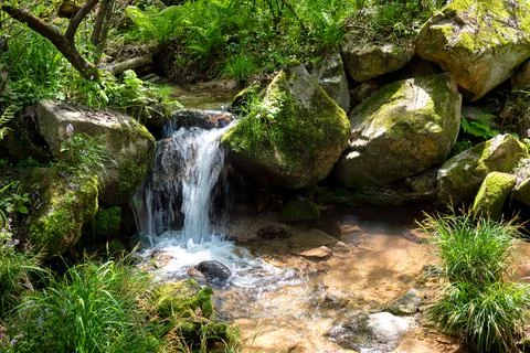 Qinling Mountains Stock Photos