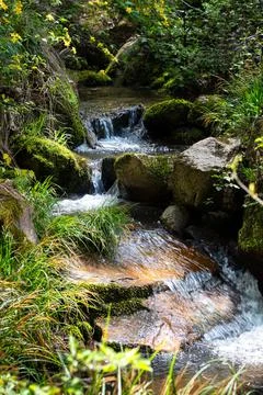 Qinling Mountains Stock Photos