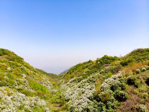 Qinling Mountains Stock Photos