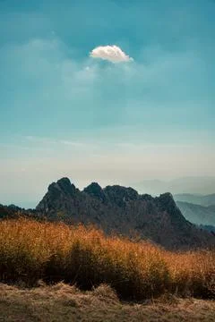 Qinling Mountains Stock Photos