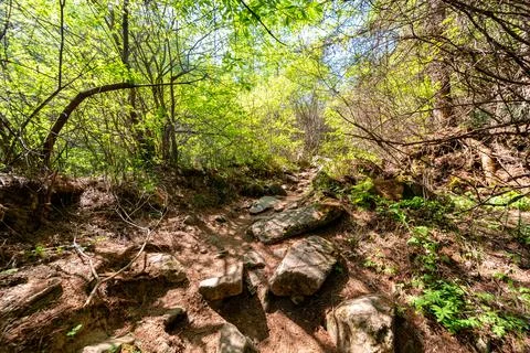 Qinling Mountains Stock Photos